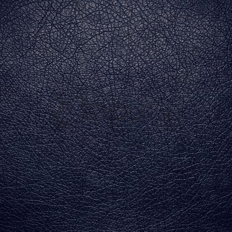 passport background texture, background,texture,passport