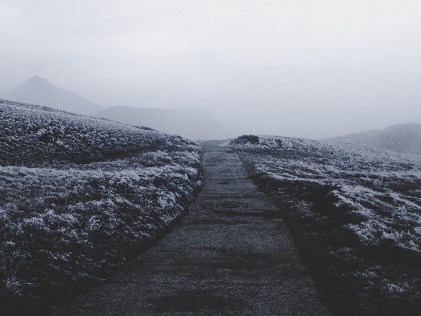 Path Fog Frost Snow Background