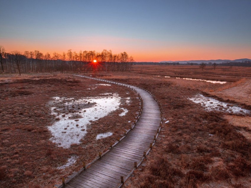 path, sunset, wooden, grass, trees