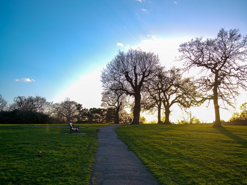 Path Trees Walk Bench Silence Background