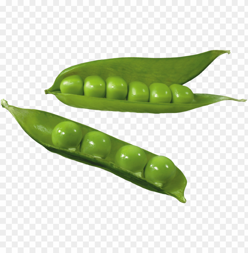 
pea
, 
spherical seed
, 
pod fruit
, 
botanically fruit
, 
food
