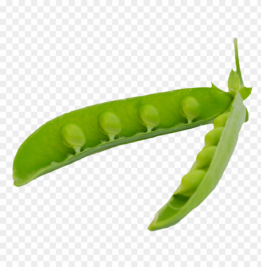 
pea
, 
spherical seed
, 
pod fruit
, 
botanically fruit
, 
food
