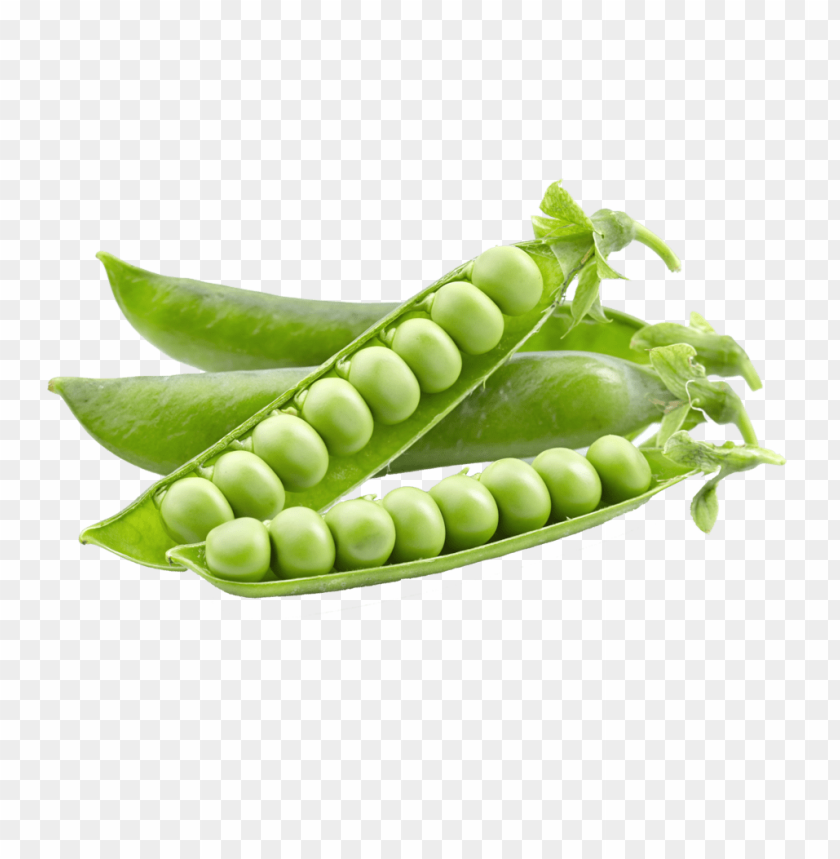 
pea
, 
spherical seed
, 
pod fruit
, 
botanically fruit
, 
food
