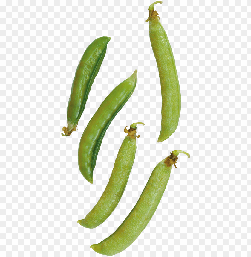 
pea
, 
spherical seed
, 
pod fruit
, 
botanically fruit
, 
food
