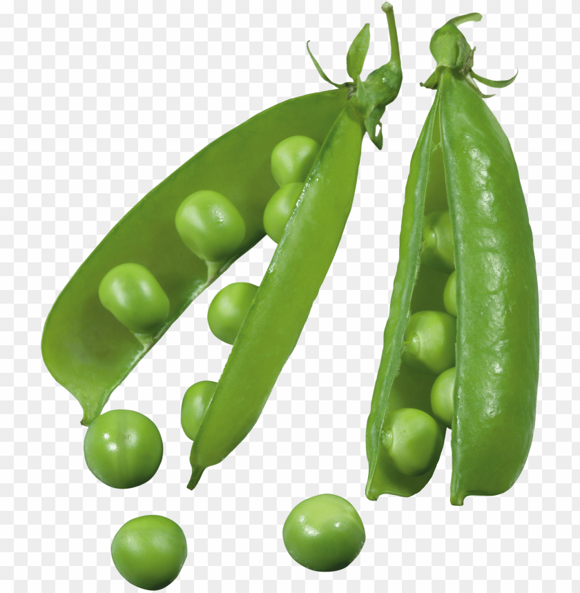 
pea
, 
spherical seed
, 
pod fruit
, 
botanically fruit
, 
food
