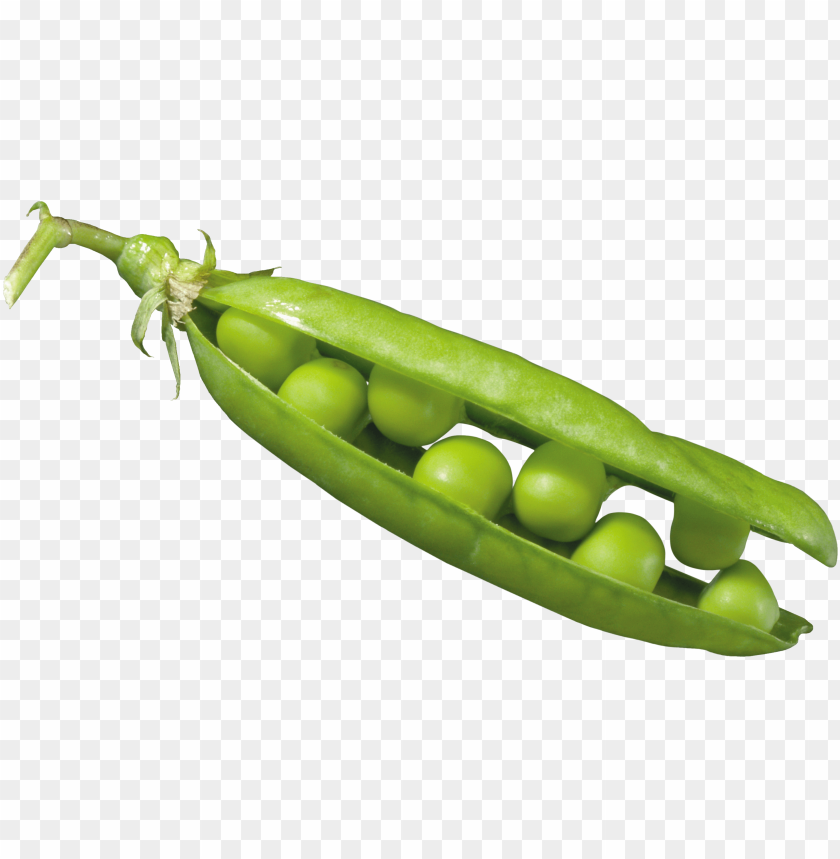 
pea
, 
spherical seed
, 
pod fruit
, 
botanically fruit
, 
food
