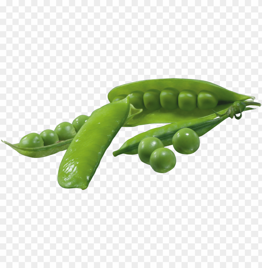 
pea
, 
spherical seed
, 
pod fruit
, 
botanically fruit
, 
food
