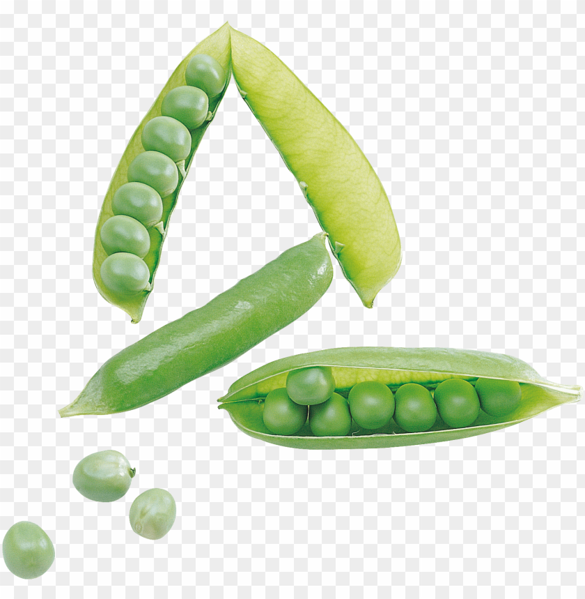 
pea
, 
spherical seed
, 
pod fruit
, 
botanically fruit
, 
food
