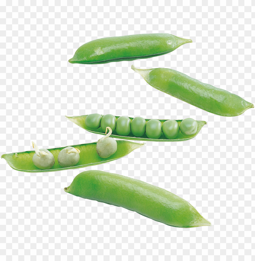 
pea
, 
spherical seed
, 
pod fruit
, 
botanically fruit
, 
food
