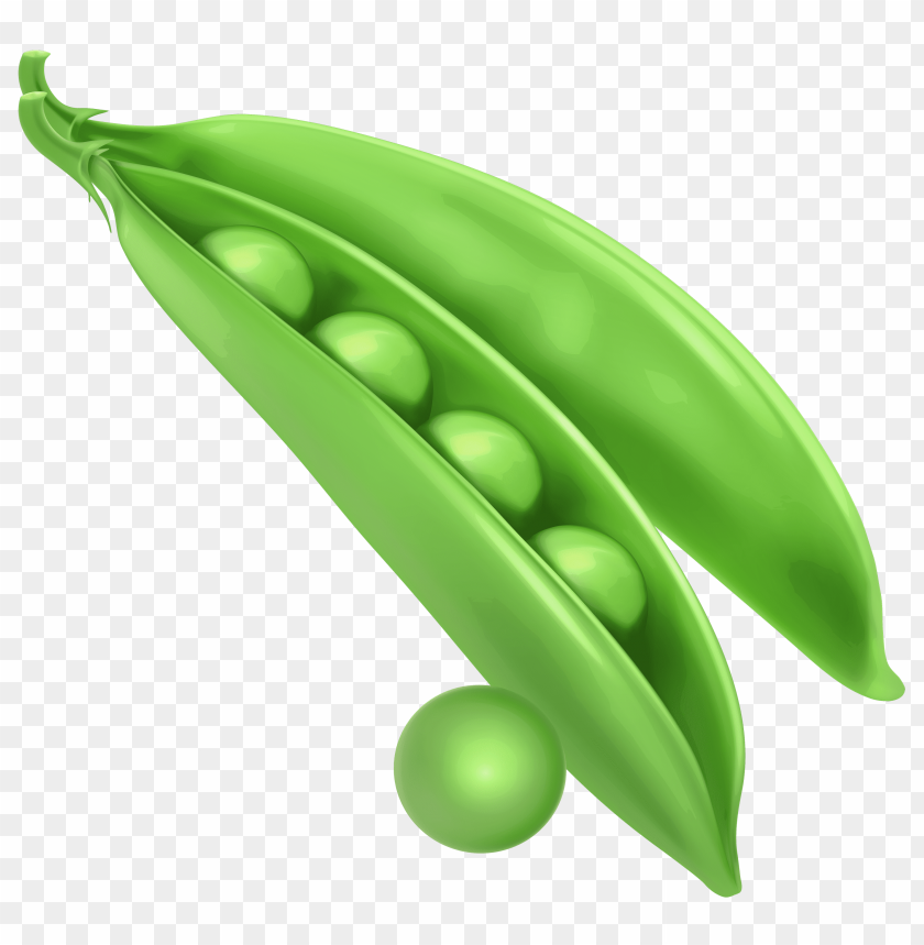 
pea
, 
spherical seed
, 
pod fruit
, 
botanically fruit
, 
food
