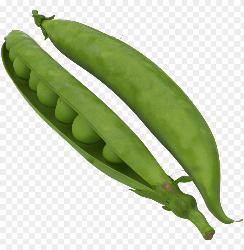 
pea
, 
spherical seed
, 
pod fruit
, 
botanically fruit
, 
food
