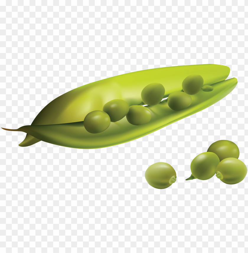 
pea
, 
spherical seed
, 
pod fruit
, 
botanically fruit
