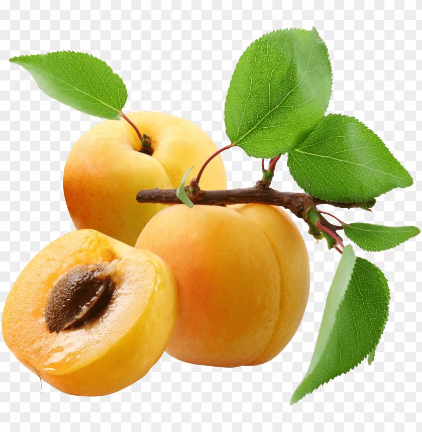 
peach
, 
juicy fruit
, 
nectarine
, 
food
, 
fruit
, 
peaches
, 
cutted peaches
