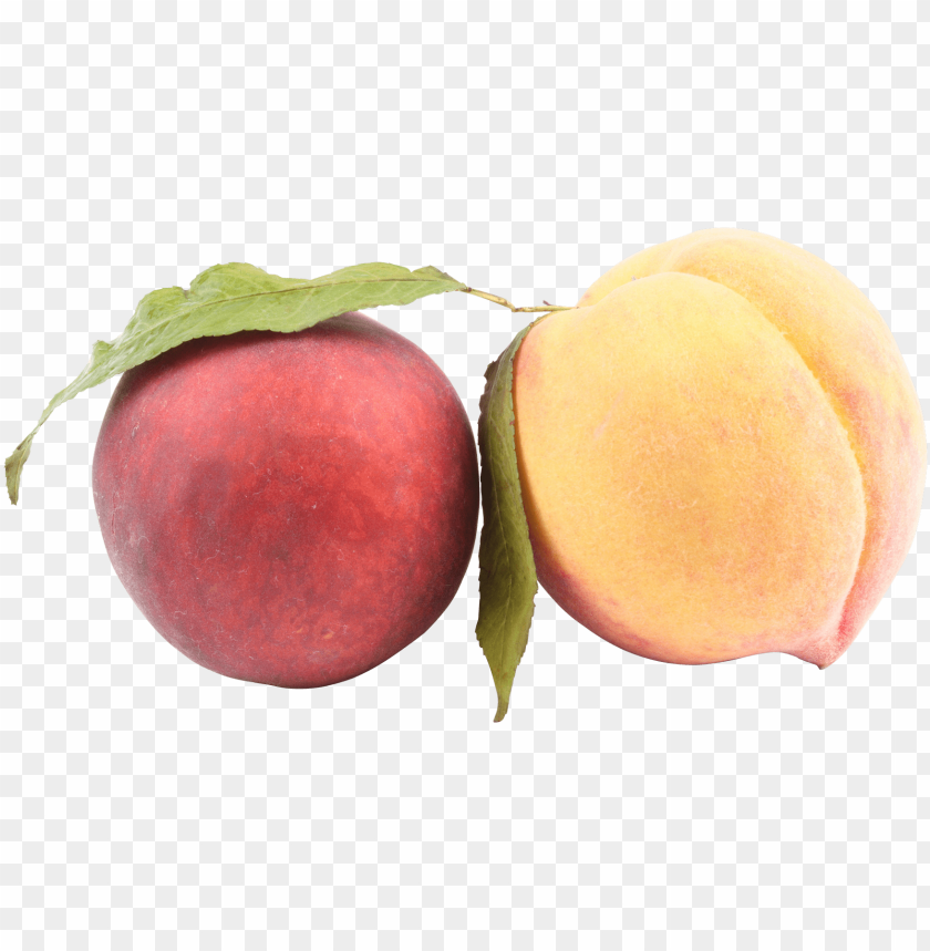 
peach
, 
juicy fruit
, 
nectarine
, 
food
, 
fruit
, 
peaches
, 
cutted peaches
