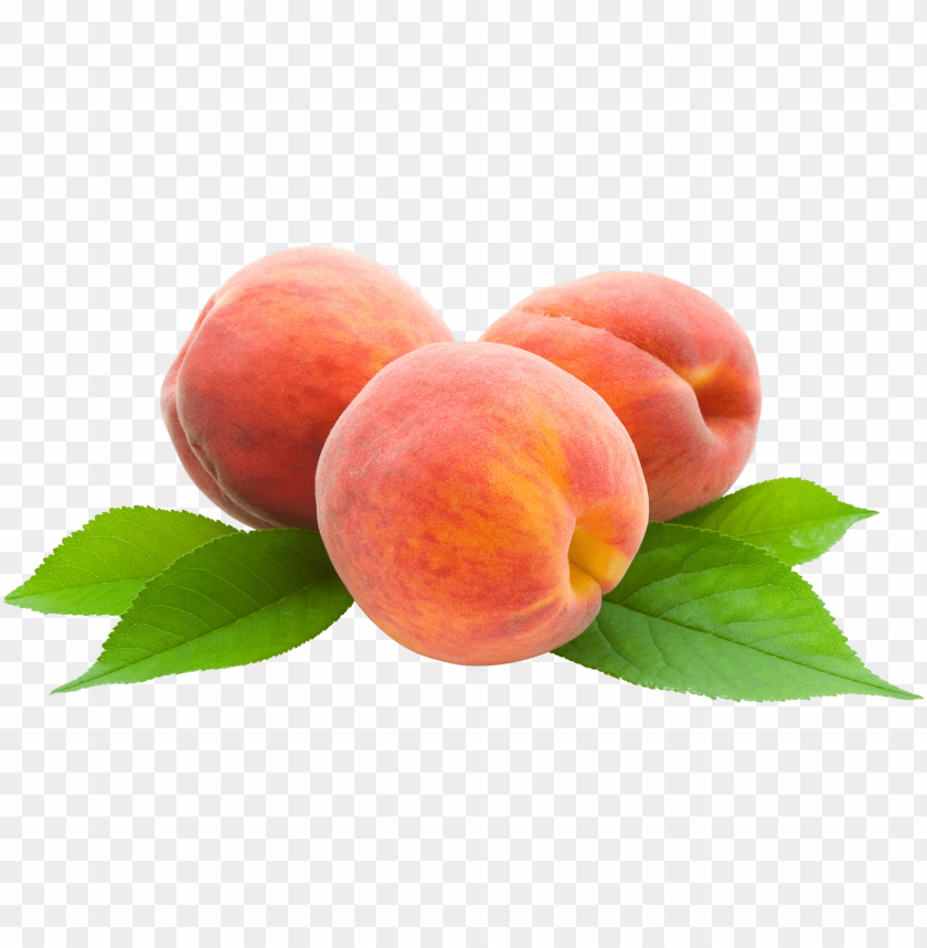 
peach
, 
juicy fruit
, 
nectarine
, 
food
, 
fruit
, 
peaches
, 
cutted peaches
