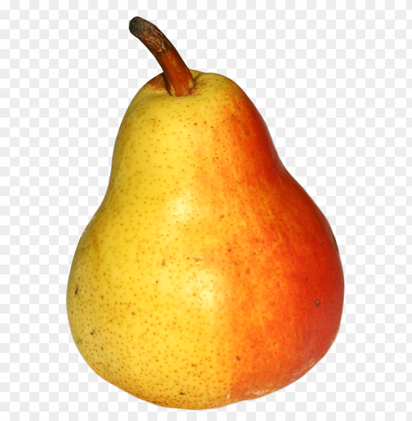 fruits, pear