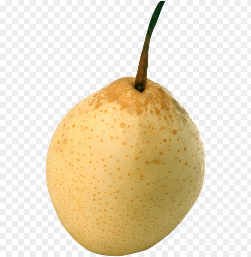 
pear
, 
genus pyrus
, 
edible fruit
, 
peares
