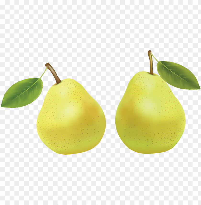 
pear
, 
genus pyrus
, 
edible fruit
, 
peares
