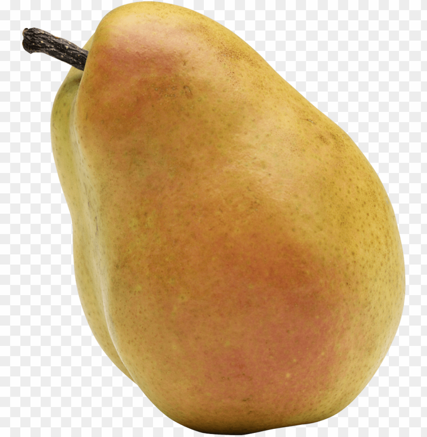 
pear
, 
genus pyrus
, 
pomaceous fruit
, 
edible fruit
