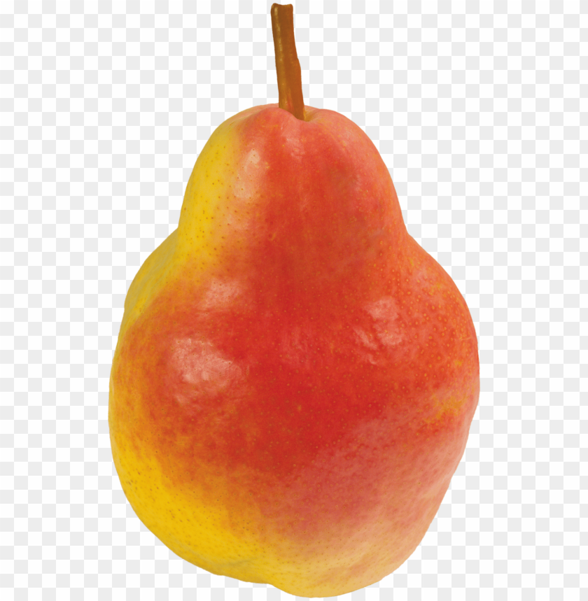 
pear
, 
genus pyrus
, 
pomaceous fruit
, 
edible fruit
