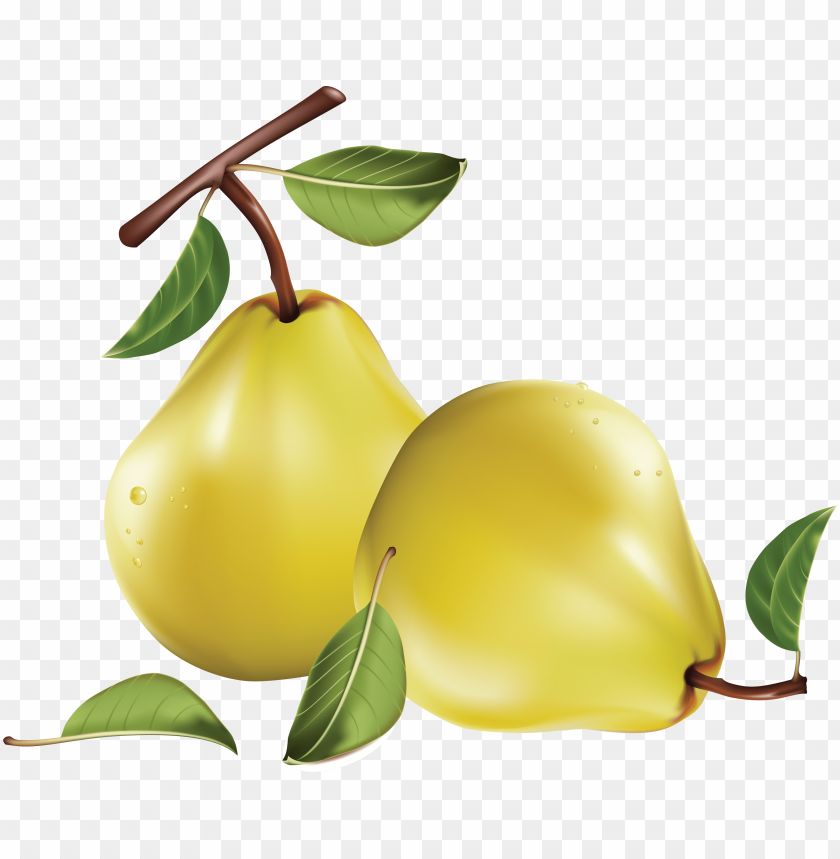 
pear
, 
genus pyrus
, 
edible fruit
, 
peares
