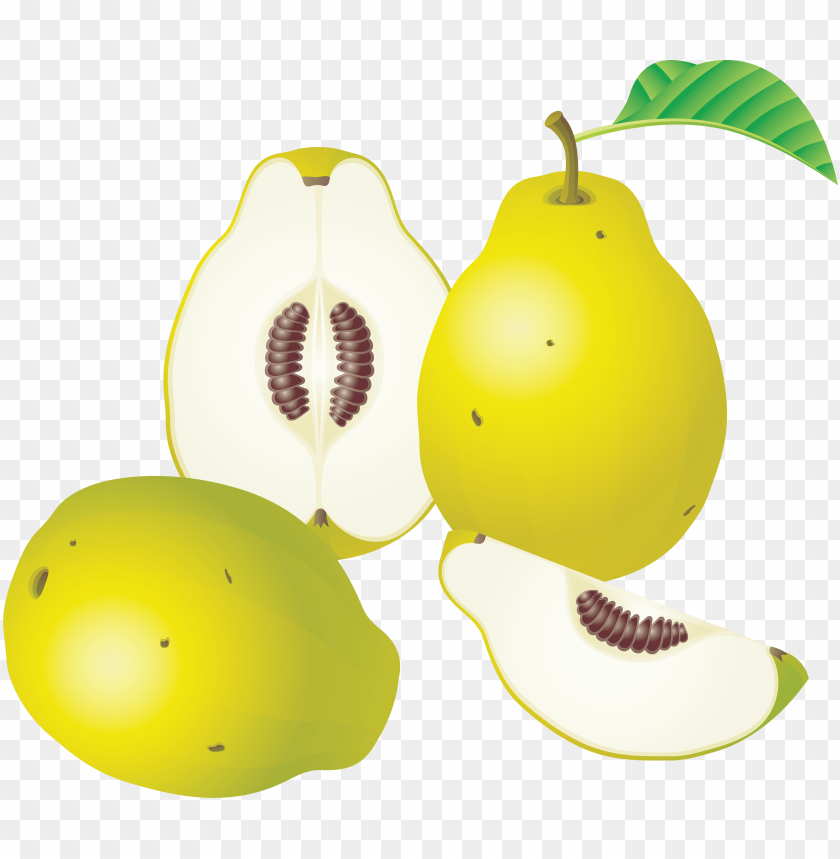 
pear
, 
genus pyrus
, 
edible fruit
, 
peares
