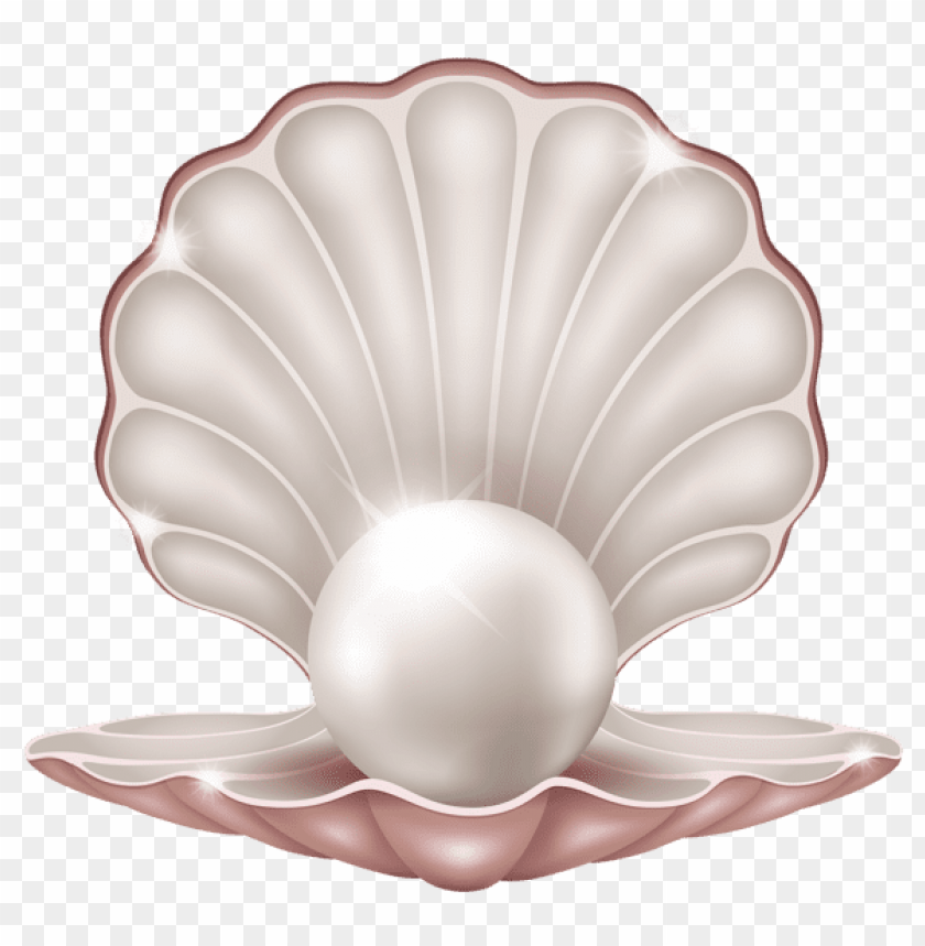 pearl png, png,pearl