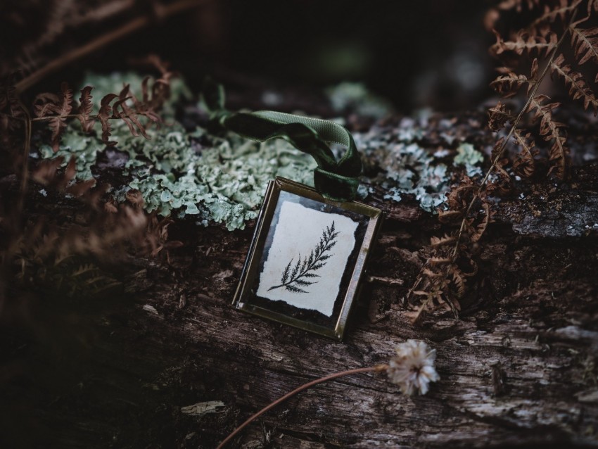 pendant, leaf, adornment, dark