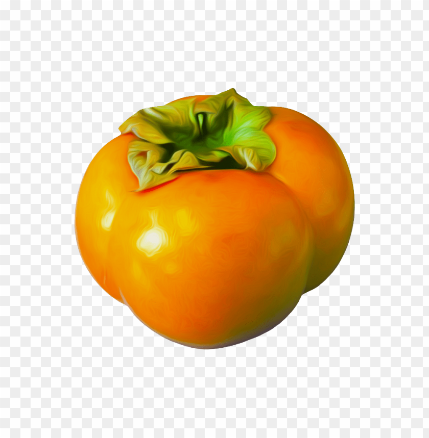 
persimmon
, 
edible fruit
, 
genus diospyros
, 
diospyros kaki
