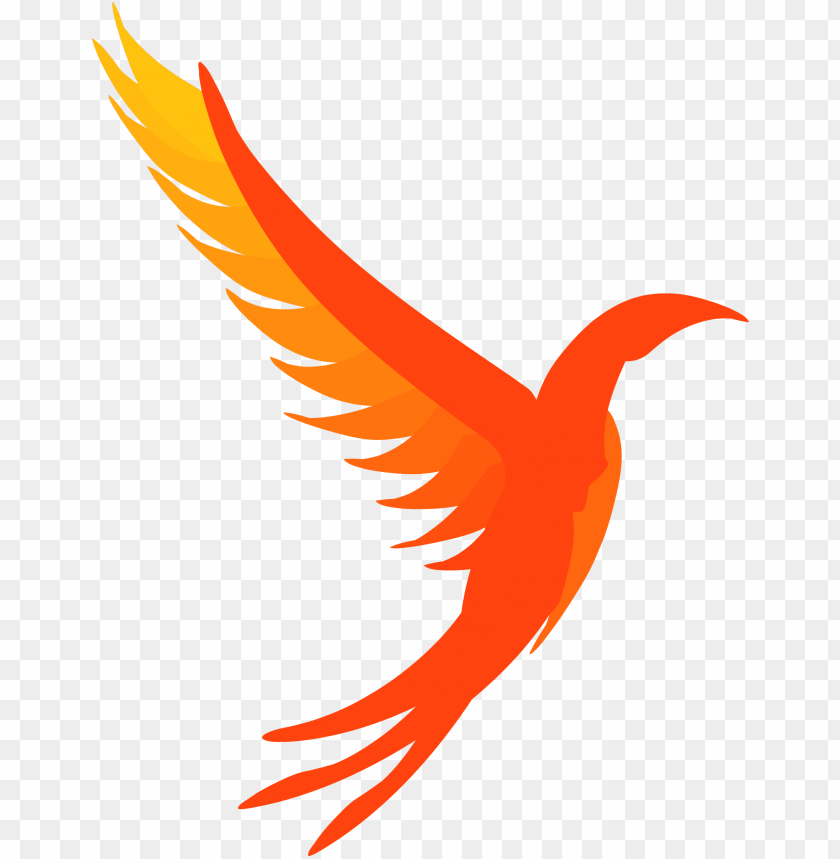 phoenix bird, phoenix, phoenix suns logo, phoenix wright, phoenix logo, phoenix icon