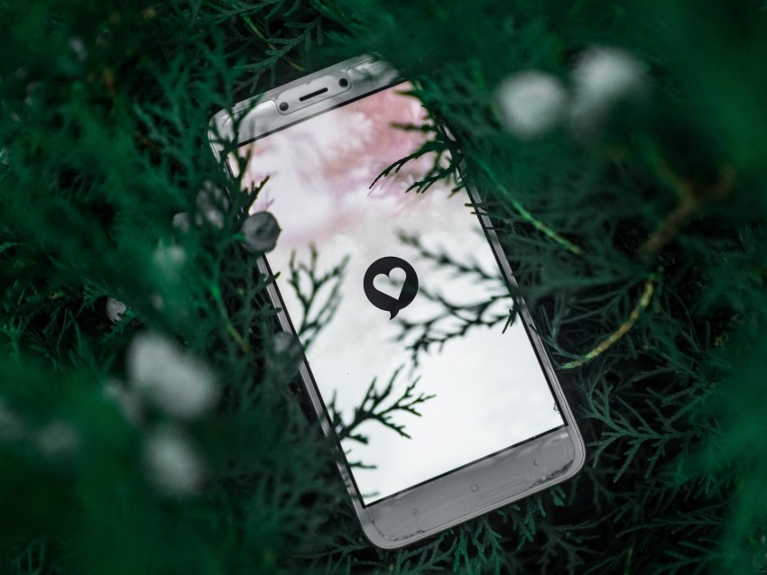 phone, screen, heart, symbol, plant, branches