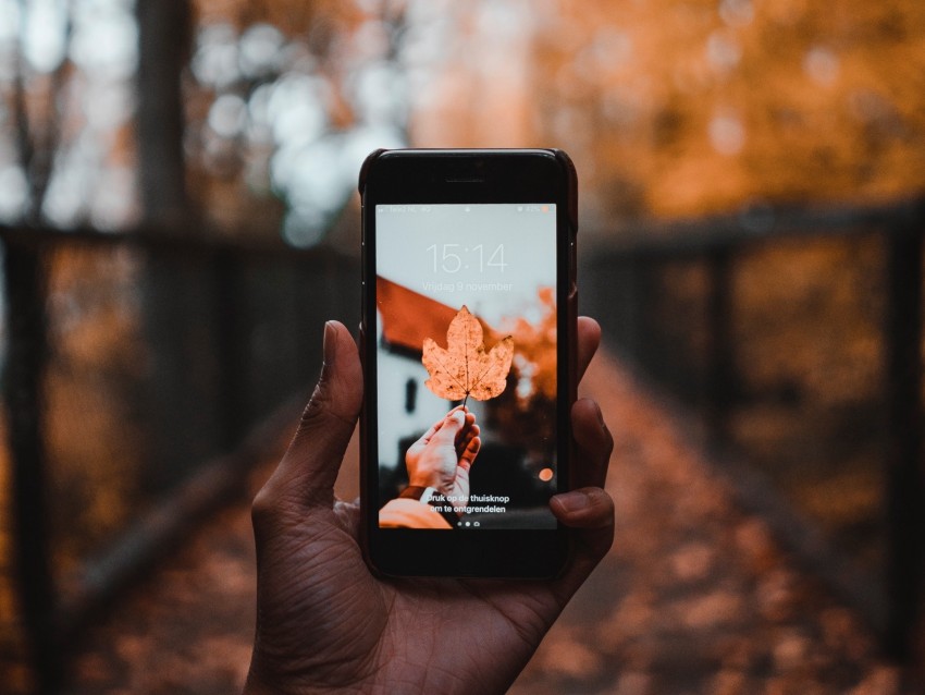 phone, sheet, autumn, maple, hand