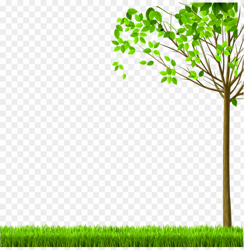 tree, green leaves, grass, nature, outdoor scenery, botanical, landscape