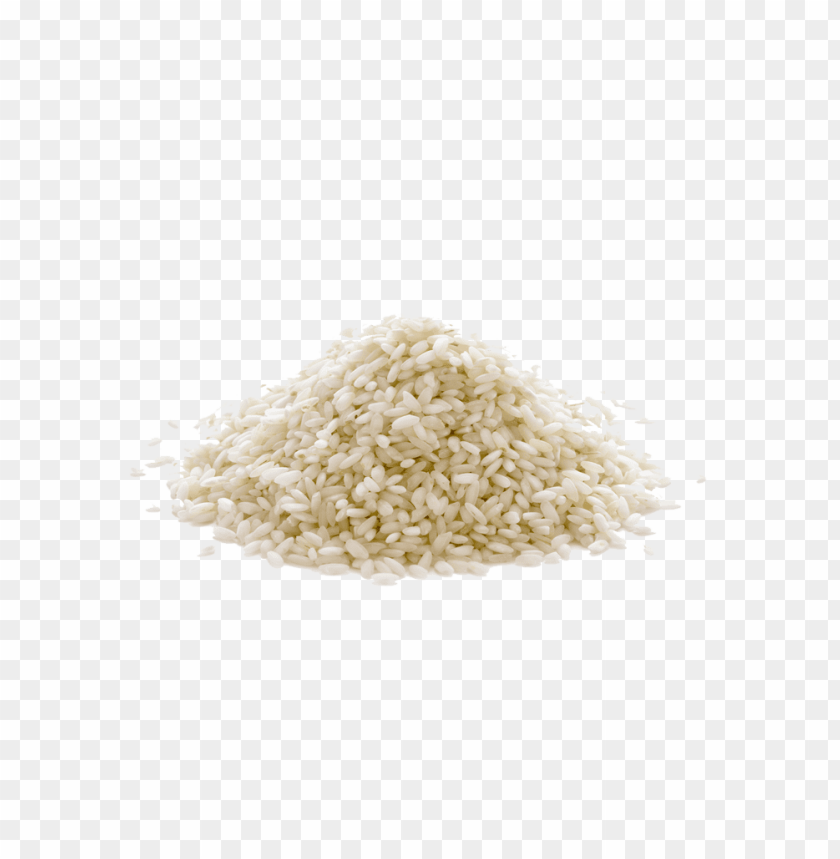 rice, white grain, uncooked rice, granular texture, pile of rice, natural ingredient, food staple