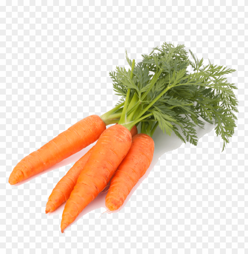 carrot, fresh vegetables, healthy snacks, root vegetables, organic produce, vibrant color, garden harvest