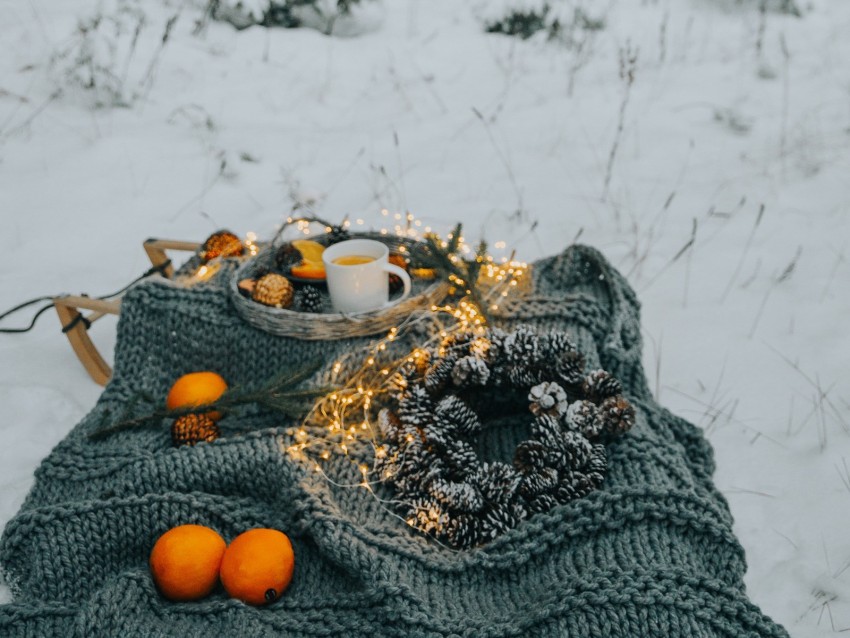 Picnic Winter Christmas Comfort Mood Forest Snow Background