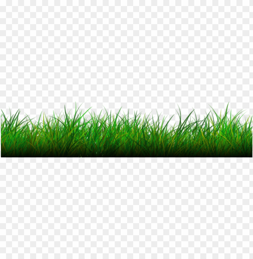 green grass, grass hill, ornamental grass, grass vector, grass border, minecraft grass block