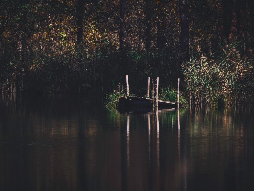 Pier River Trees Grass Forest Background