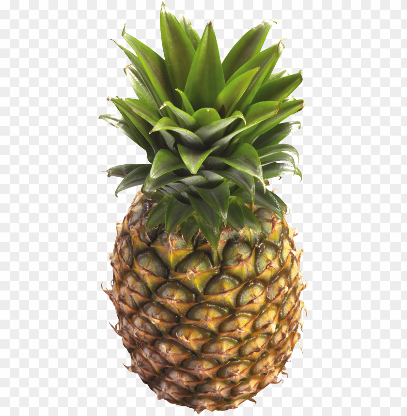 
pinapple
, 
pen pinapple apple pen
, 
fruit
, 
vegetable
, 
heathly
, 
food
, 
clipart
