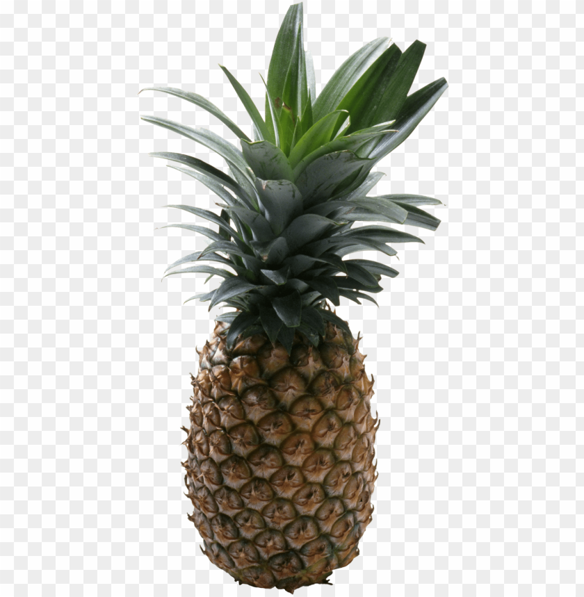 
pinapple
, 
pen pinapple apple pen
, 
fruit
, 
vegetable
, 
heathly
, 
food
