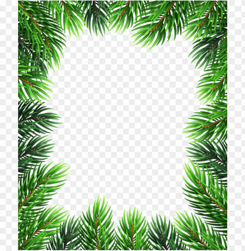 tropical leaves, green foliage, nature frame, palm leaves, botanical decor, lush greenery, jungle plants