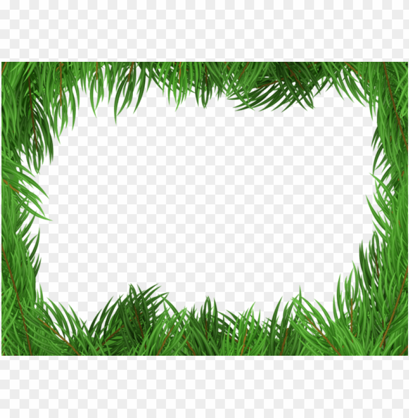 nature frame, green leaves, botanical border, foliage design, plant decoration, natural background, leaf outline