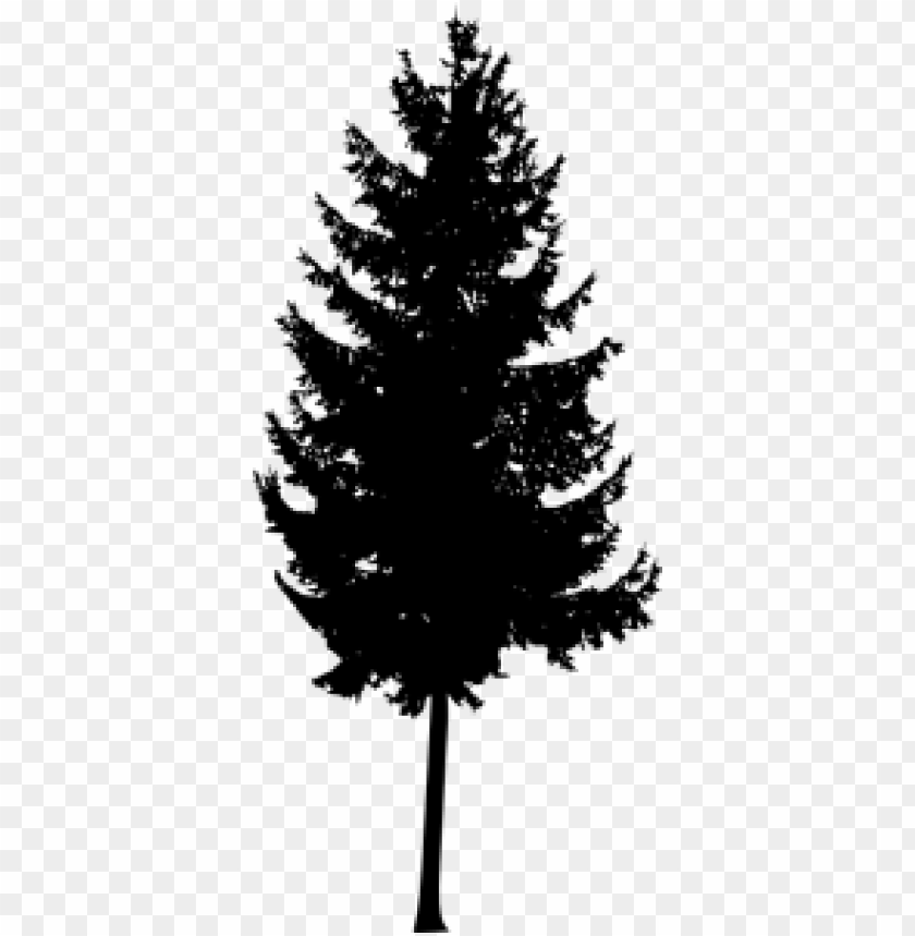 silhouette png,silhouette png image,silhouette png file,silhouette transparent background,silhouette images png,silhouette images clip art,pine tree