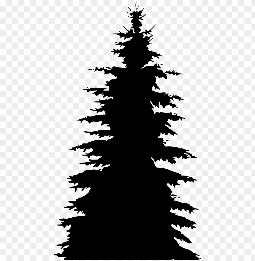 Silhouette of a tall pine tree isolated on a transparent background PNG