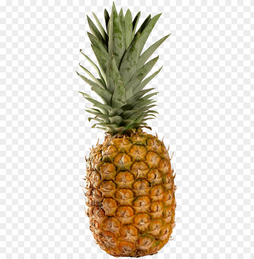 
pineapple
, 
ananas comosus
, 
coalesced berries
, 
pineapples
