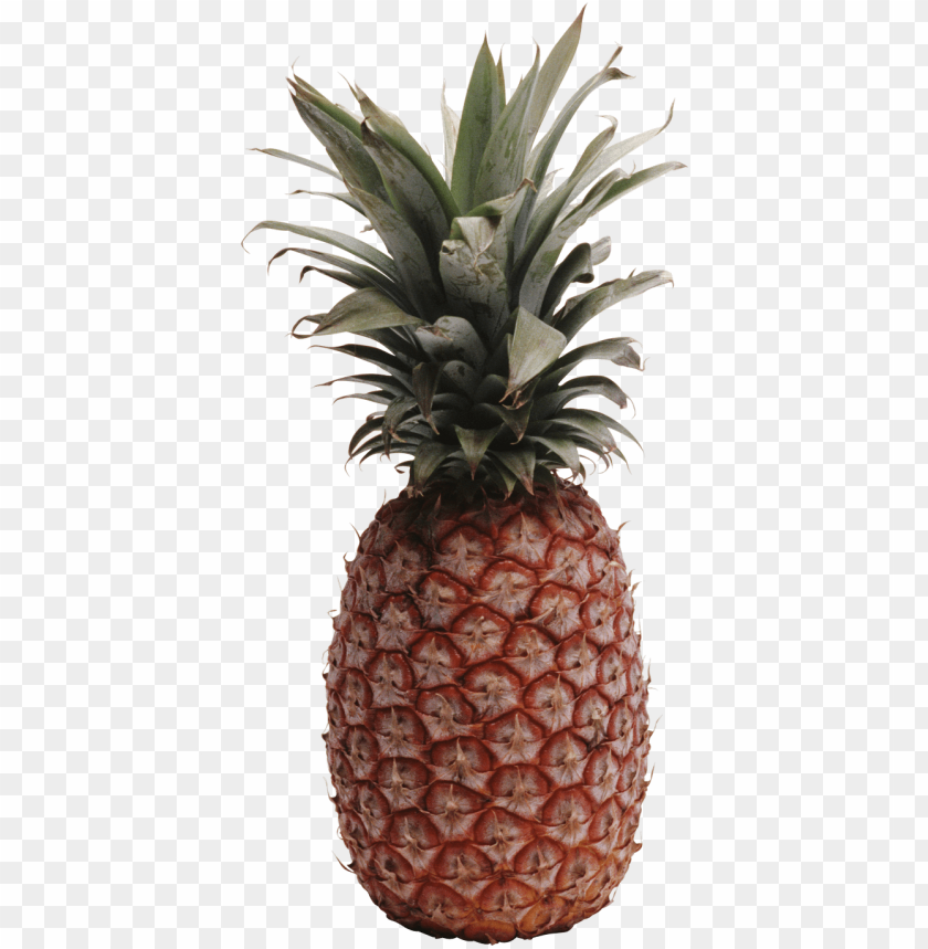 
pineapple
, 
ananas comosus
, 
coalesced berries
, 
pineapples
