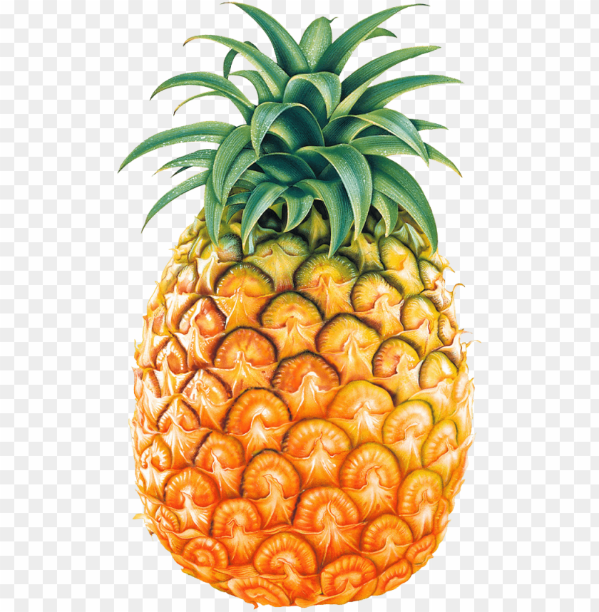 
pineapple
, 
ananas comosus
, 
coalesced berries
, 
pineapples
