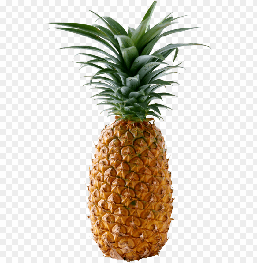 
pineapple
, 
ananas comosus
, 
coalesced berries
, 
pineapples
