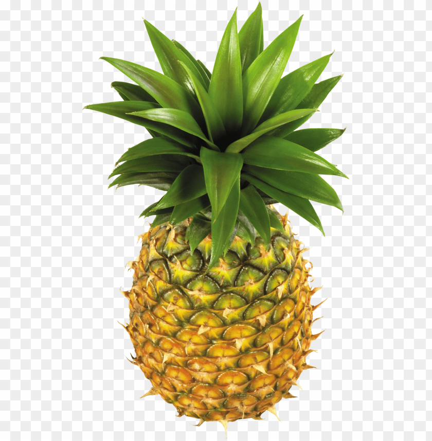 
pineapple
, 
ananas comosus
, 
coalesced berries
, 
pineapples
