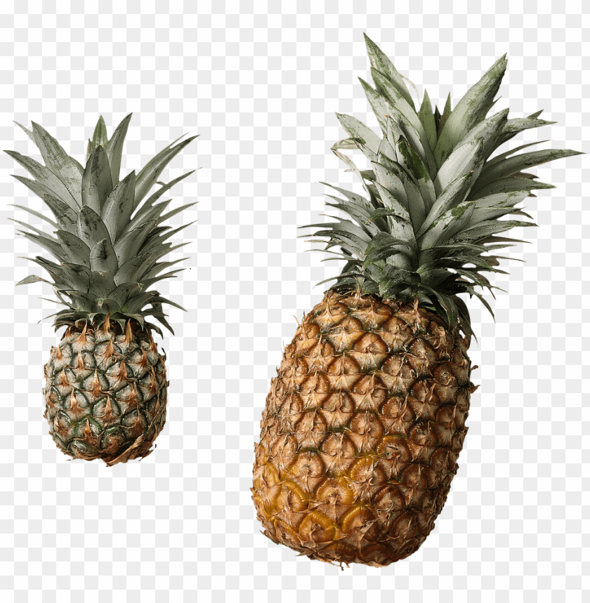 
pineapple
, 
ananas comosus
, 
coalesced berries
, 
pineapples
